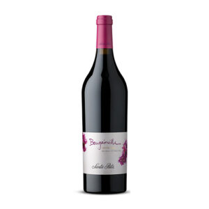 Santa Rita Bougainville
