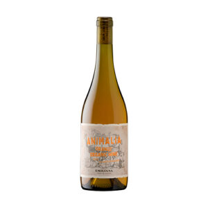 Animalia Orange Wine Sauvignon Blanc